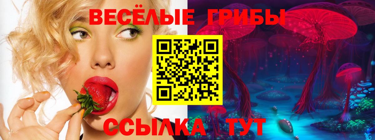 Псилоцибиновые грибы мухоморы  Вход с VPN  где купить наркотик  Черкесск 